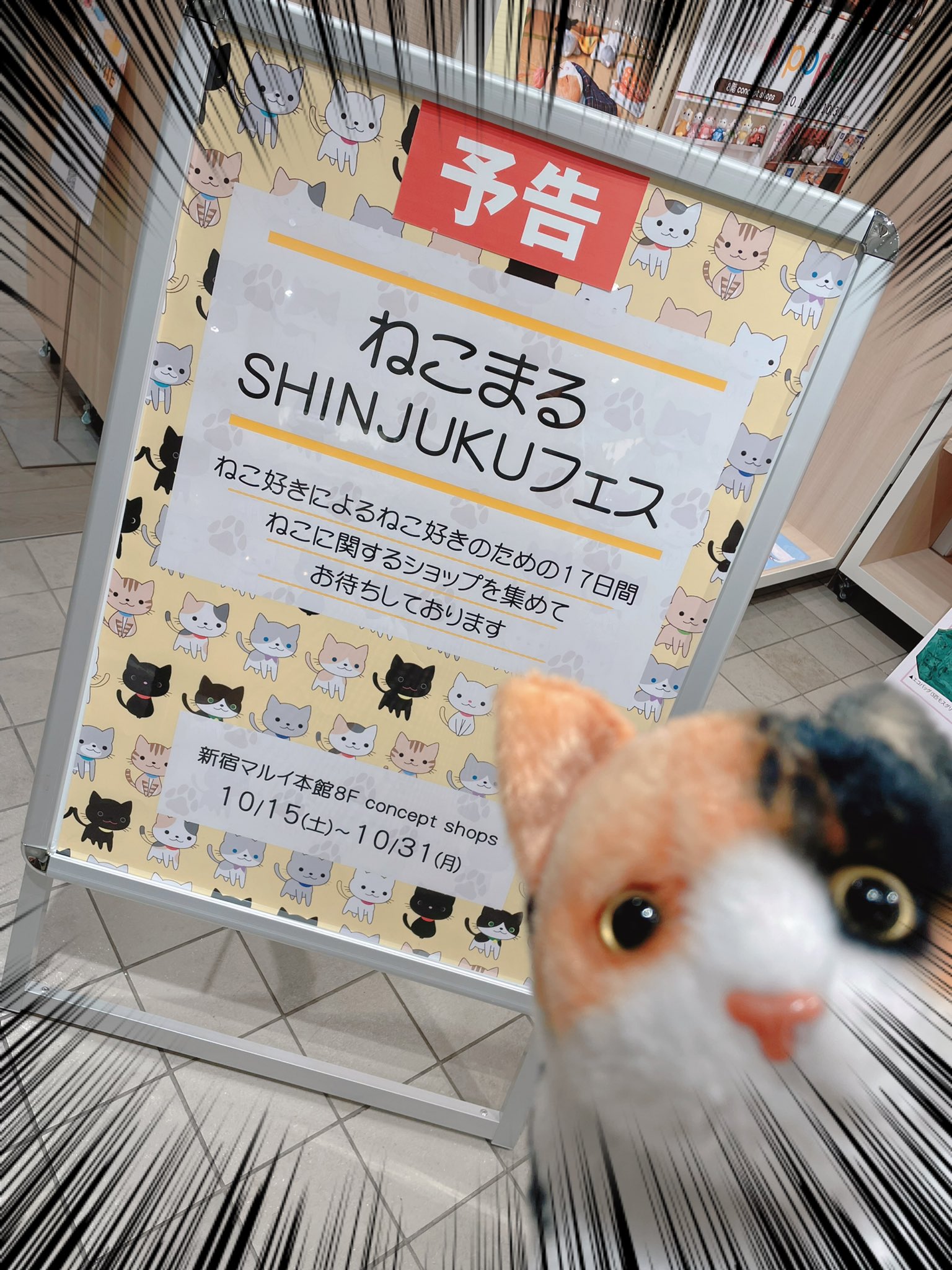 猫丸様 専用 cutacut.com