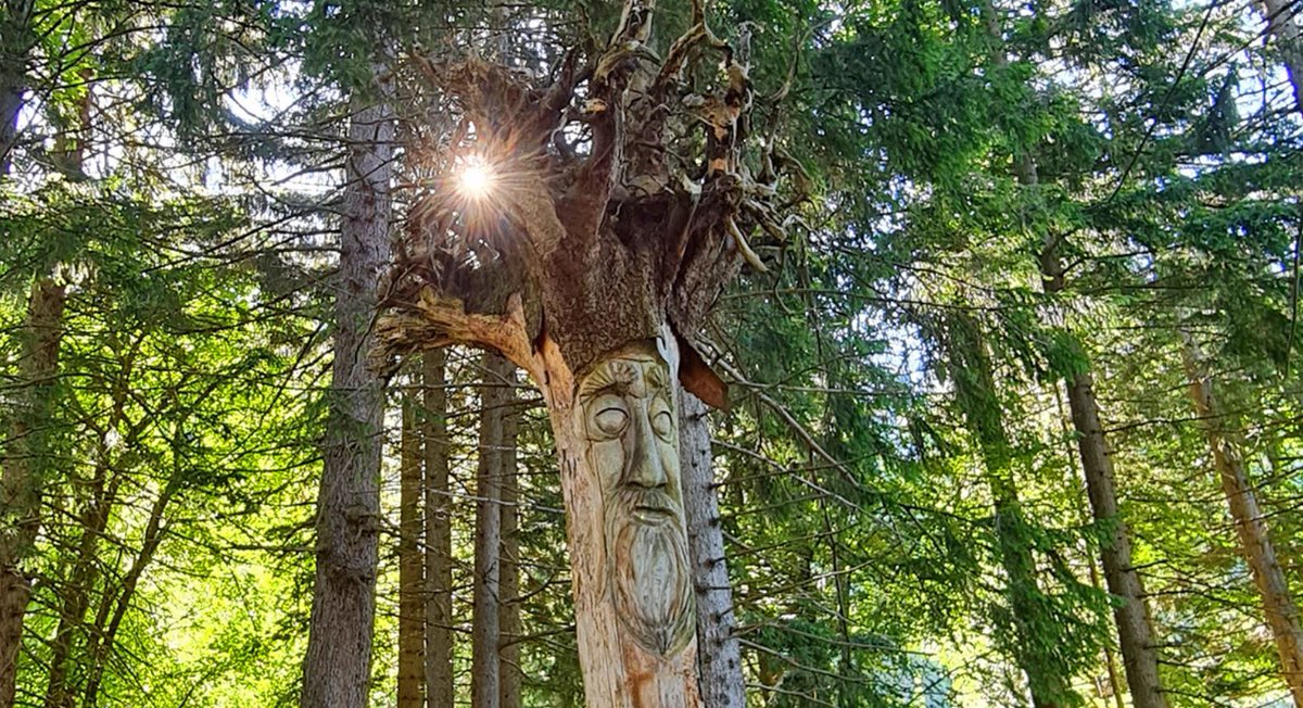 LI_Travel's tweet photo. Lass den Alltagsstress hinter dir und gönne dir einen traumhaften #Kurzurlaub und kulinarische Höhenflüge mit typisch einheimischen Speisen in #Triesenberg. https://t.co/3jSKG8L3Yy https://t.co/FjZloxVCOH