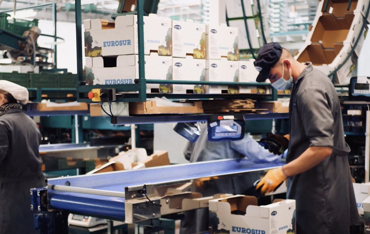 ¿Quieres trabajar con nosotros? Buscamos envasadores y envasadoras para nuestro almacén en Vícar. Envía tu curriculum a solicitudes@eurosol.es ¡Te esperamos! #Empleo #Vícar