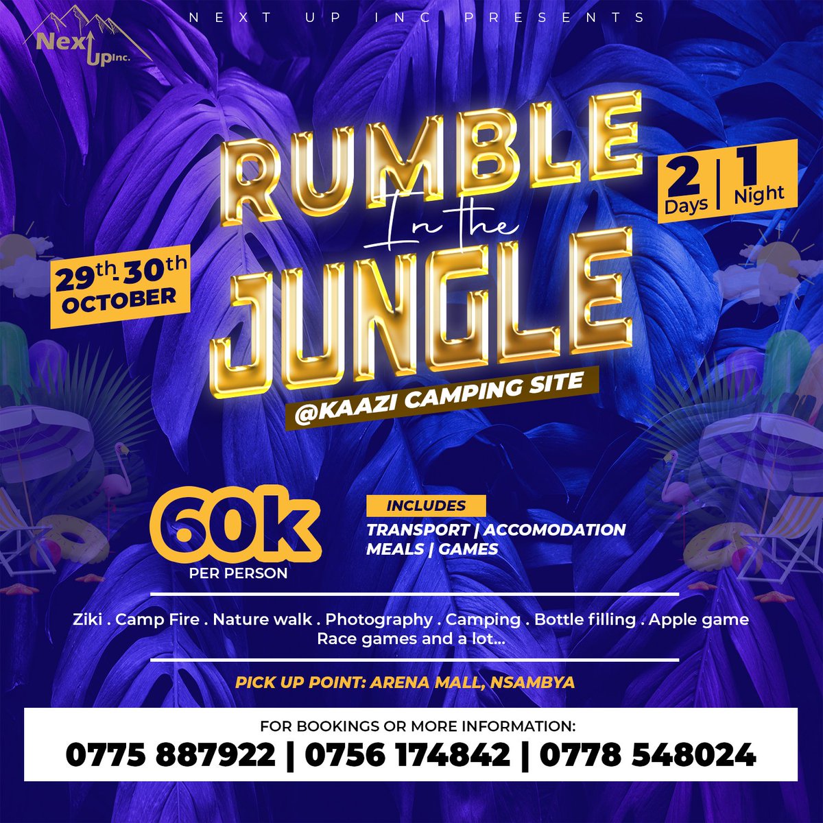 If you don't fun time...
Which other affordable trip would you?!
#rumbleinthejungle #nextupInc