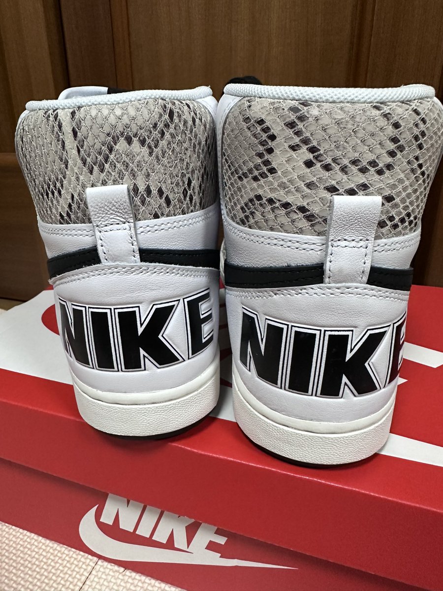 asatakuasataku's tweet photo. 到着しました🎉🎊🍾㊗️👍
カッコよすぎ!
#NikeTerminatorHigh
#CocoaSnake https://t.co/FyK8aaPlMN