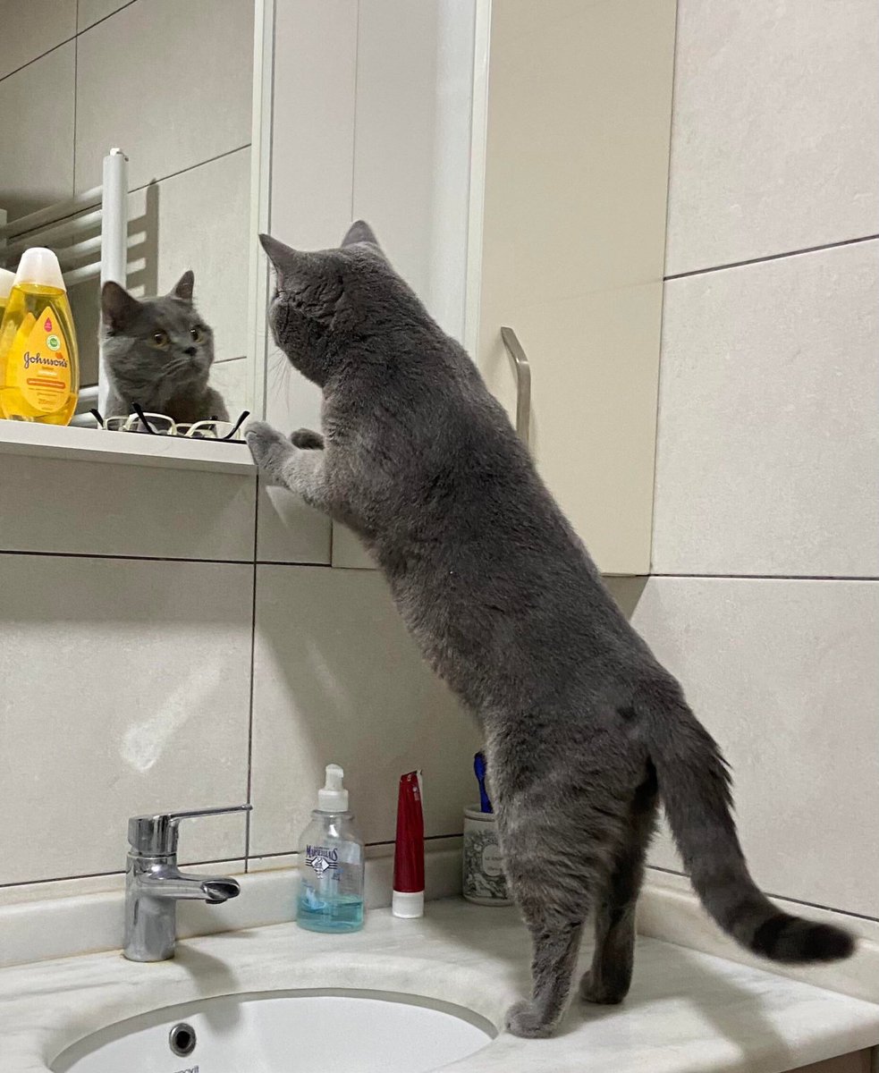 When you spend so much time on social media and get identity crisis #GEMSDM <a href="/creativehubgem/">The Creative Hub</a> 
#socialmedia