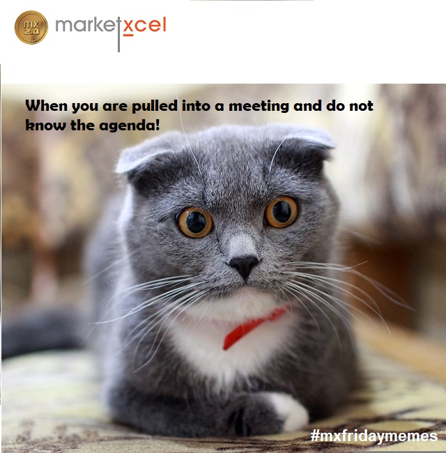 Market Xcel tweet media