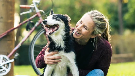 犬の持つ癒し効果が判明。犬をなでると前頭前野が活性化するらしい。