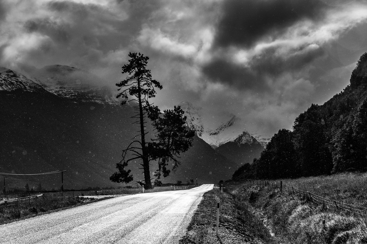 LuckyLuite.eth tweet media