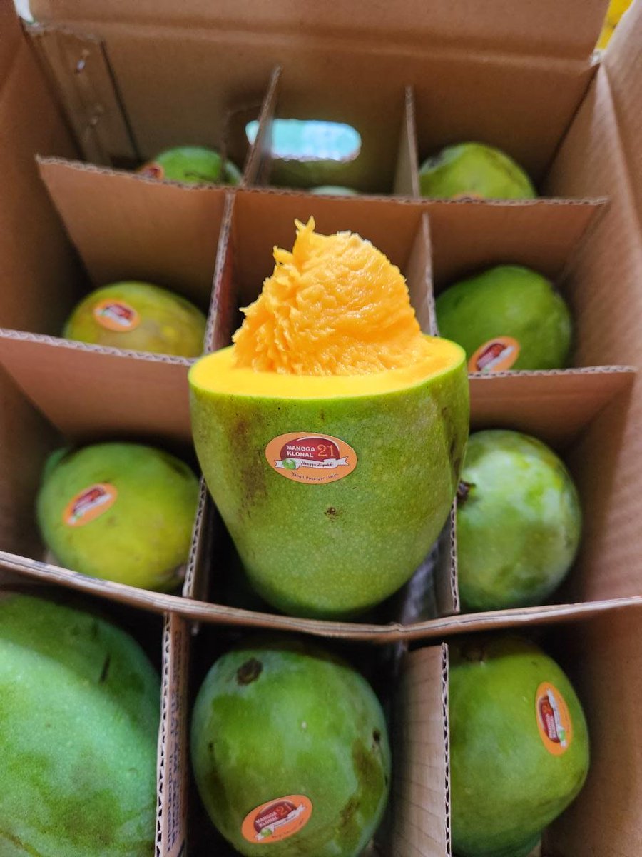 FruitDay tweet media