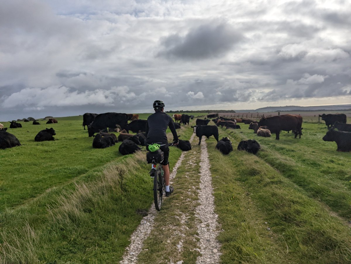 joe_peat's tweet photo. Day 2 cycling the #SouthDownsWay Great stay in Amberley last night, onwards to Eastbourne! https://t.co/N6SHlsnc9Y