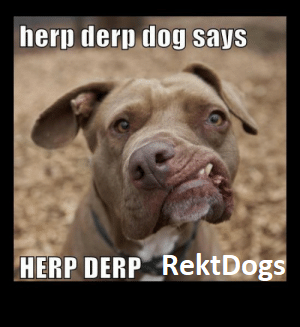 LinkChi0's tweet photo. @rektdogs @AptosLabs https://t.co/HYWF6MlpT2
