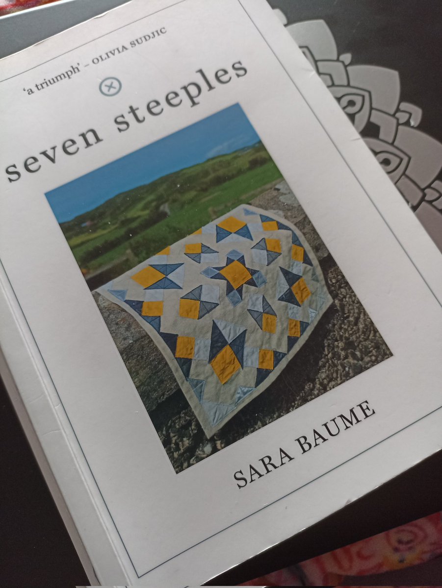 Just finished #SevenSteeples by #SaraBaume. The prose is sublime. Such a vivid and hypnotic read! @TrampPress #naturewriting