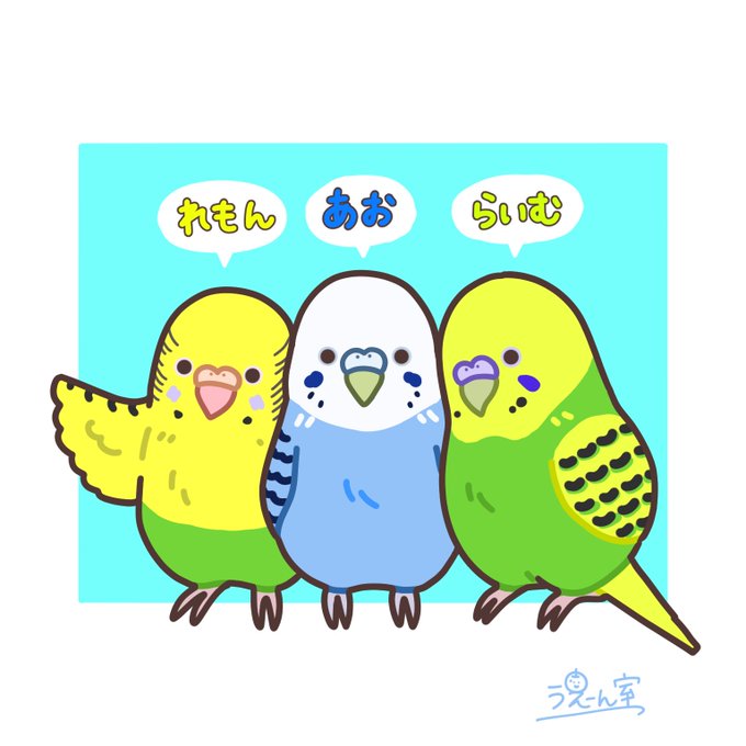 インコ のイラスト マンガ作品 1 156 件 Twoucan