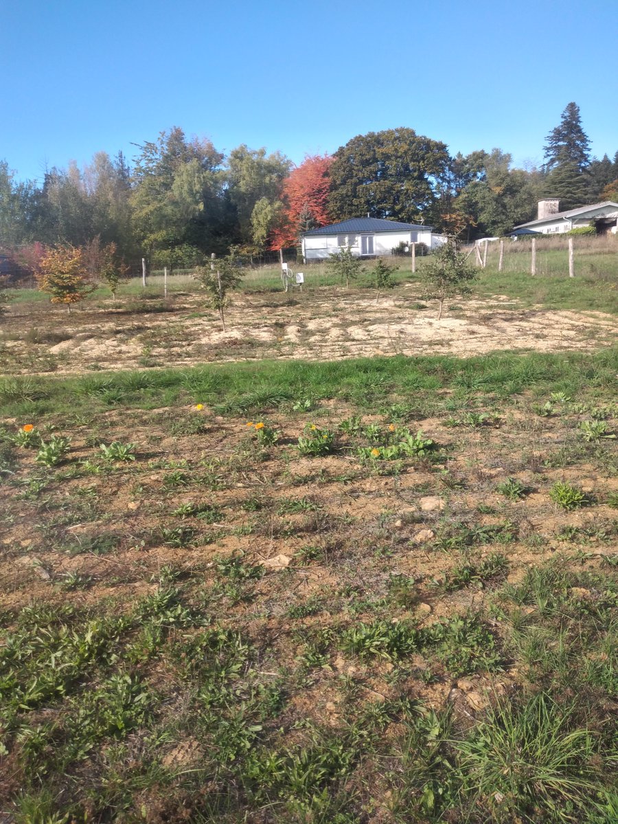 IntactProgetto's tweet image. Prof. Khabar (@um5rabat), during his secondment at @INRAE_France Grand est, on the 6th of October visited the experimental field of INRAE Nancy Grand Est with Prof. Cyrille Bach.