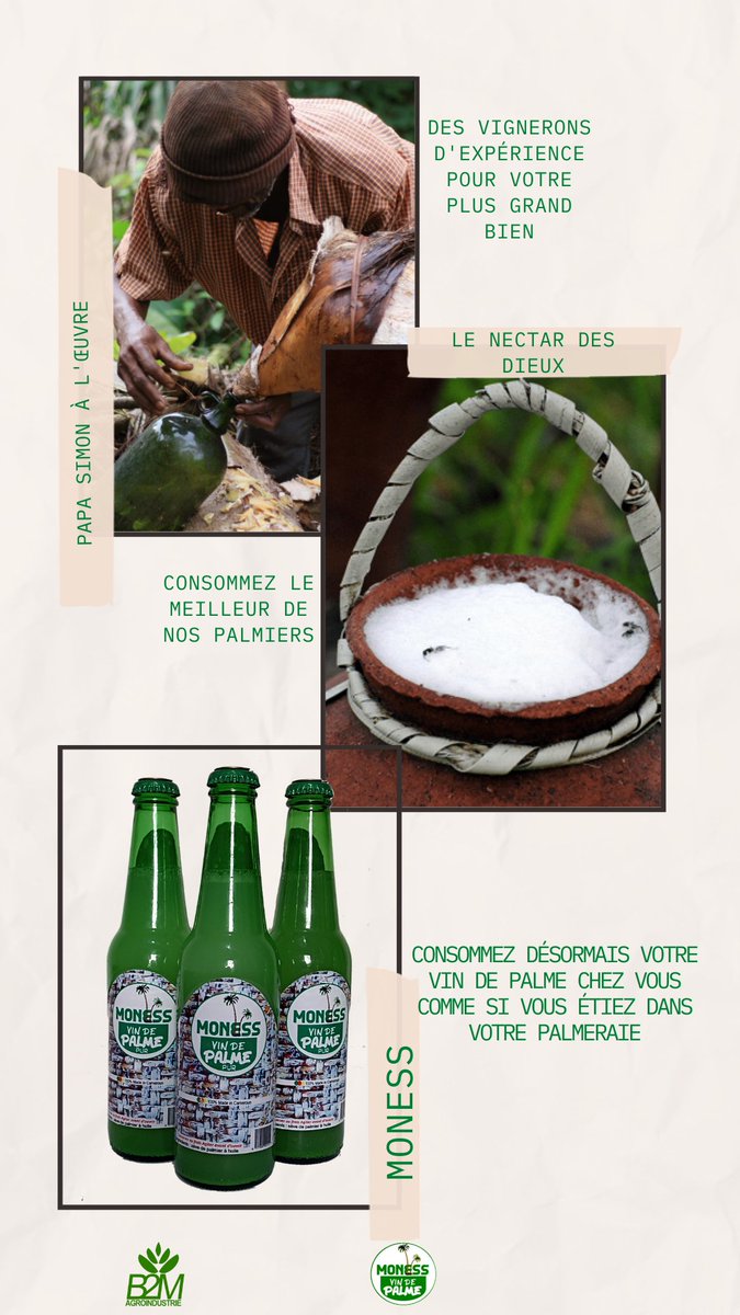 BAgroindustrie's tweet photo. Retour au village
#vin de #palme MONESS
Nos #origines notre #fierté https://t.co/TtQ8JA33cU