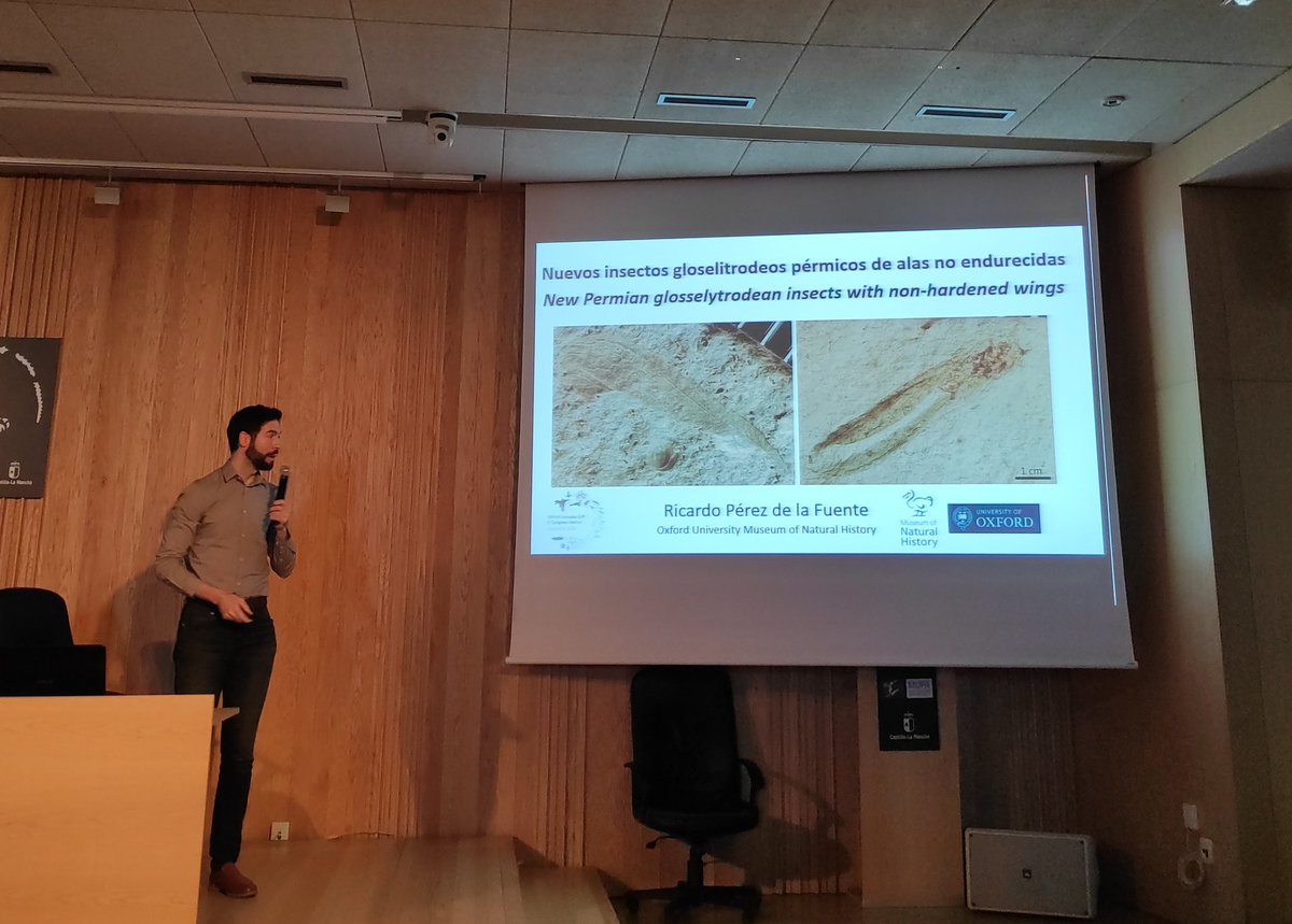 No sólo ámbar en <a href="/SEPCuenca2022/">SEP Cuenca 2022</a>. Nuestro compañero Ricardo Pérez de la Fuente nos da nuevas claves sobre un raro orden de insectos.

New Permian glosselytrodean insects with non-hardened wings

#SEPCuenca22