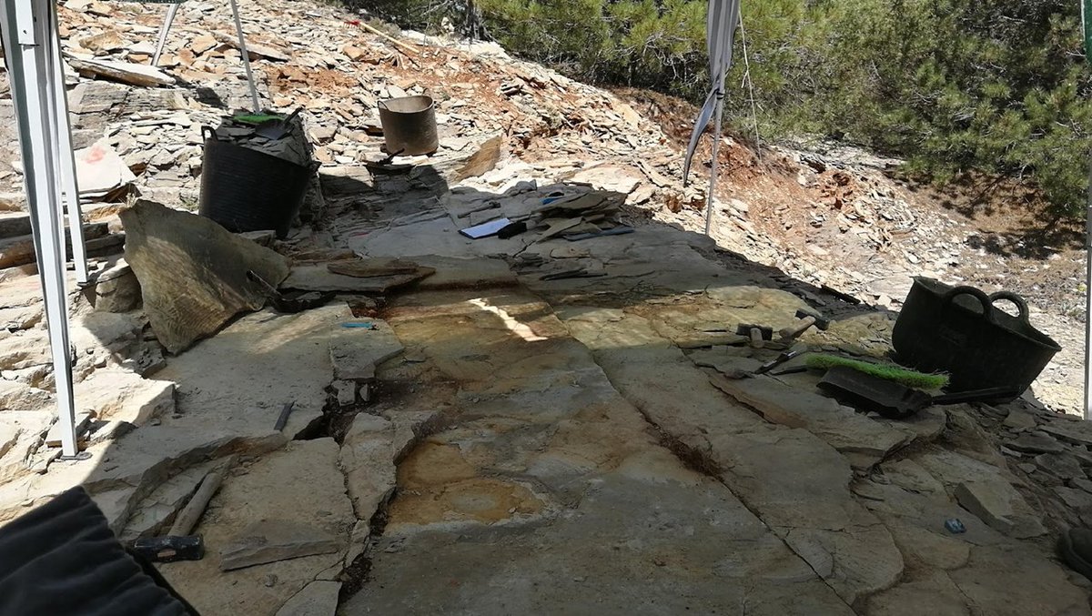 Si vais a la cena o a la salida de campo, quedaros hasta el final para el Acto de Clausura. Daremos más información sobre estos eventos.
#SEPCuenca22