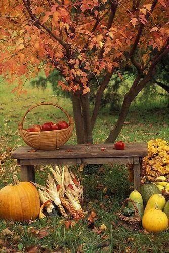 Happy Friday and Weekend everyone! Enjoy and be safe! ☀️🤎💛🧡🍁🍂🎃☀️
