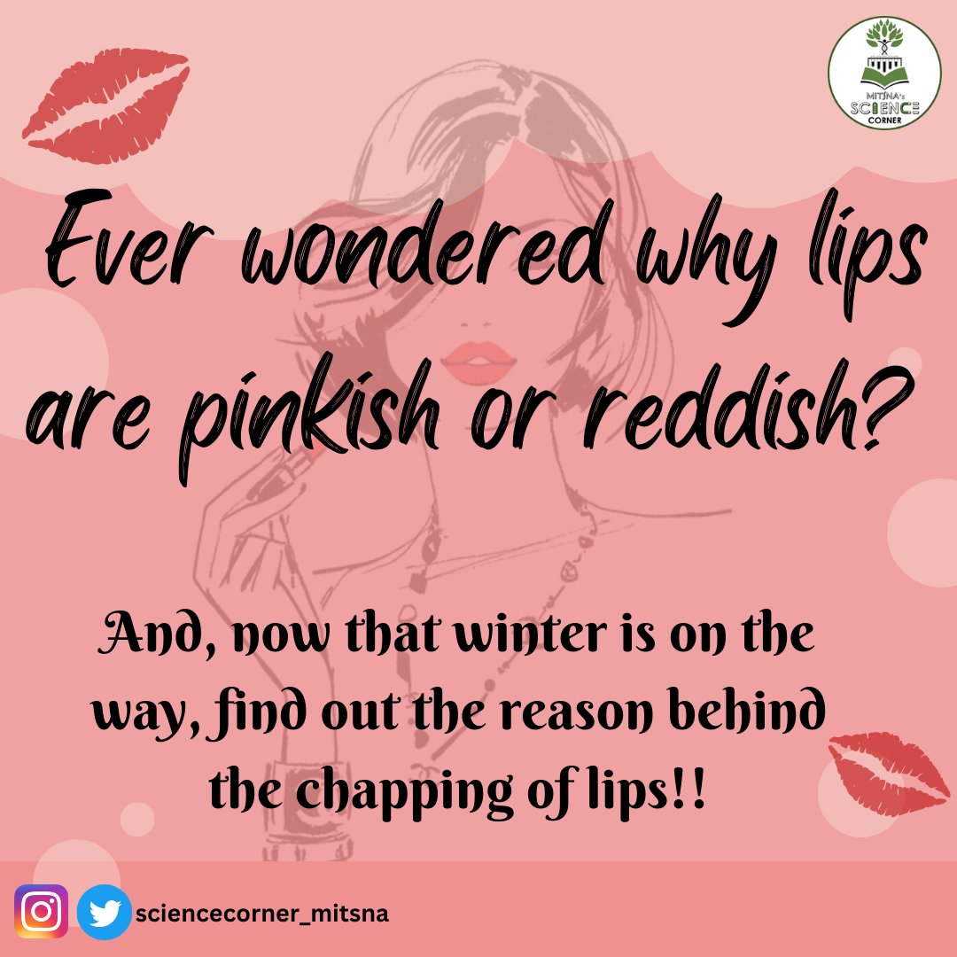 Science_cornerM's tweet photo. Red looks good on lips, not on flags!! ;) 
#Source_of_study: 
1. Piccinin MA, Zito PM. Anatomy, Head and Neck, Lips. 2022 Jun 11. In: StatPearls [Internet]. Treasure Island (FL):
#sciencecommunication #science #stem #stemfacts #everydayscience #funfacts #sciencecomm #mitsnahouse https://t.co/CAcDHq5hu1