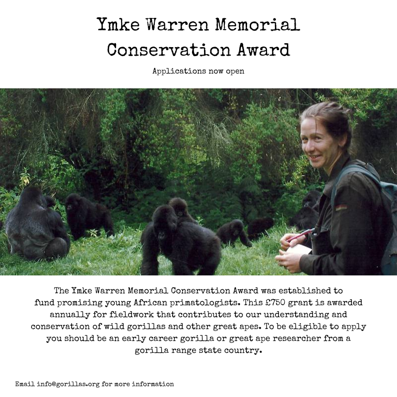 Calling aspiring primatologists! We have extended the deadline for this year's Ymke Warren Memorial Conservation Award until the end of October 2022. This is a fantastic opportunity to receive funding for research on wild gorillas and other great apes. Please apply or share!