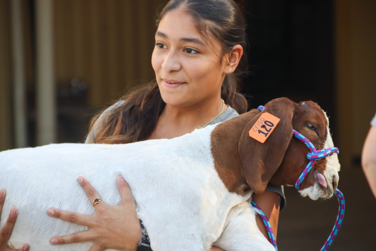 Cypress Lakes High School Press tweet media