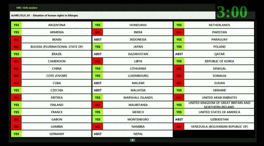 #HRC51 adoption by UNHCR is undemocratic & unjust. Only 21 countries vote YES out of 47. It's the minority veto power imposed against #Ethiopia, an #African country. At least 24 countries should vote YES for a majority vote above 50%.