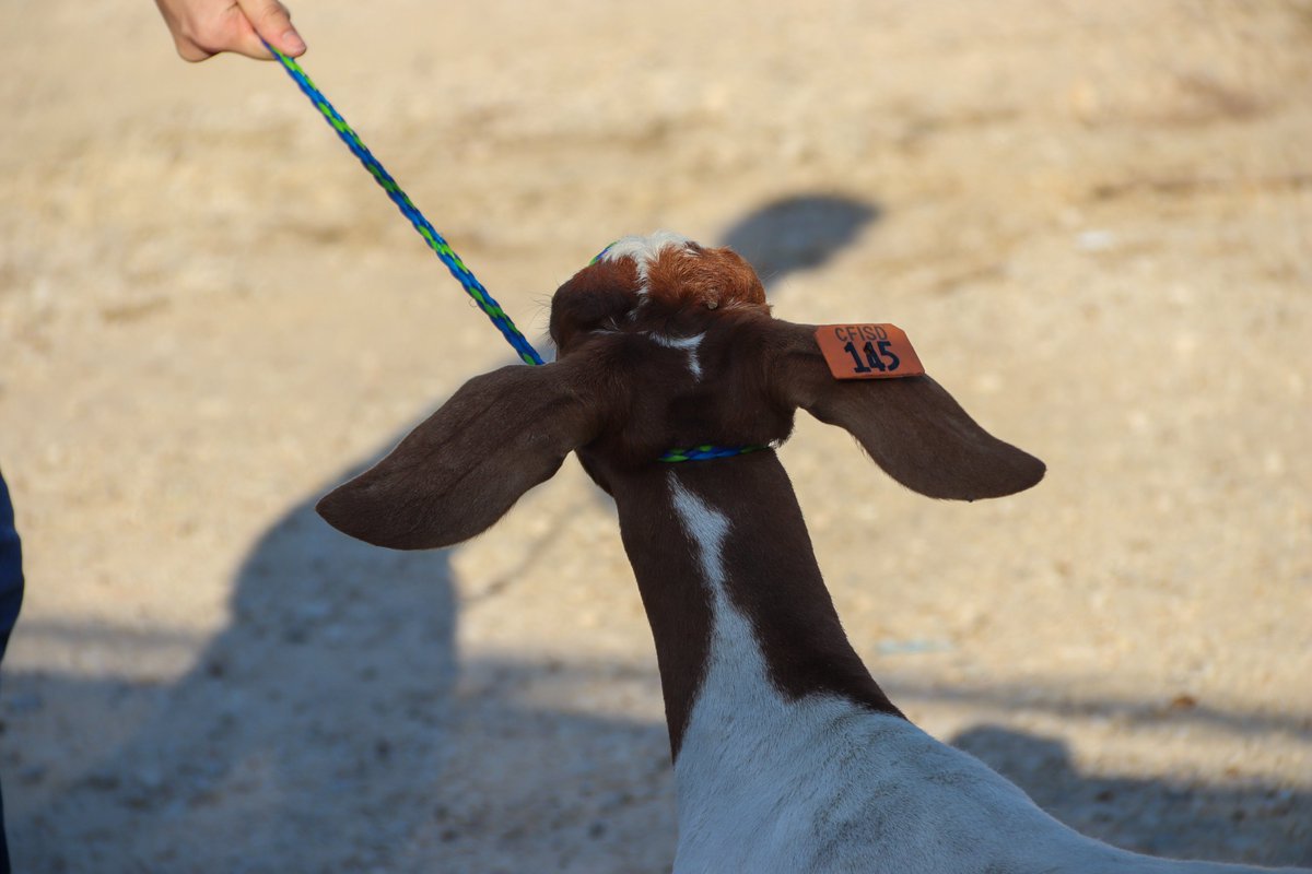 Cypress Lakes High School Press tweet media