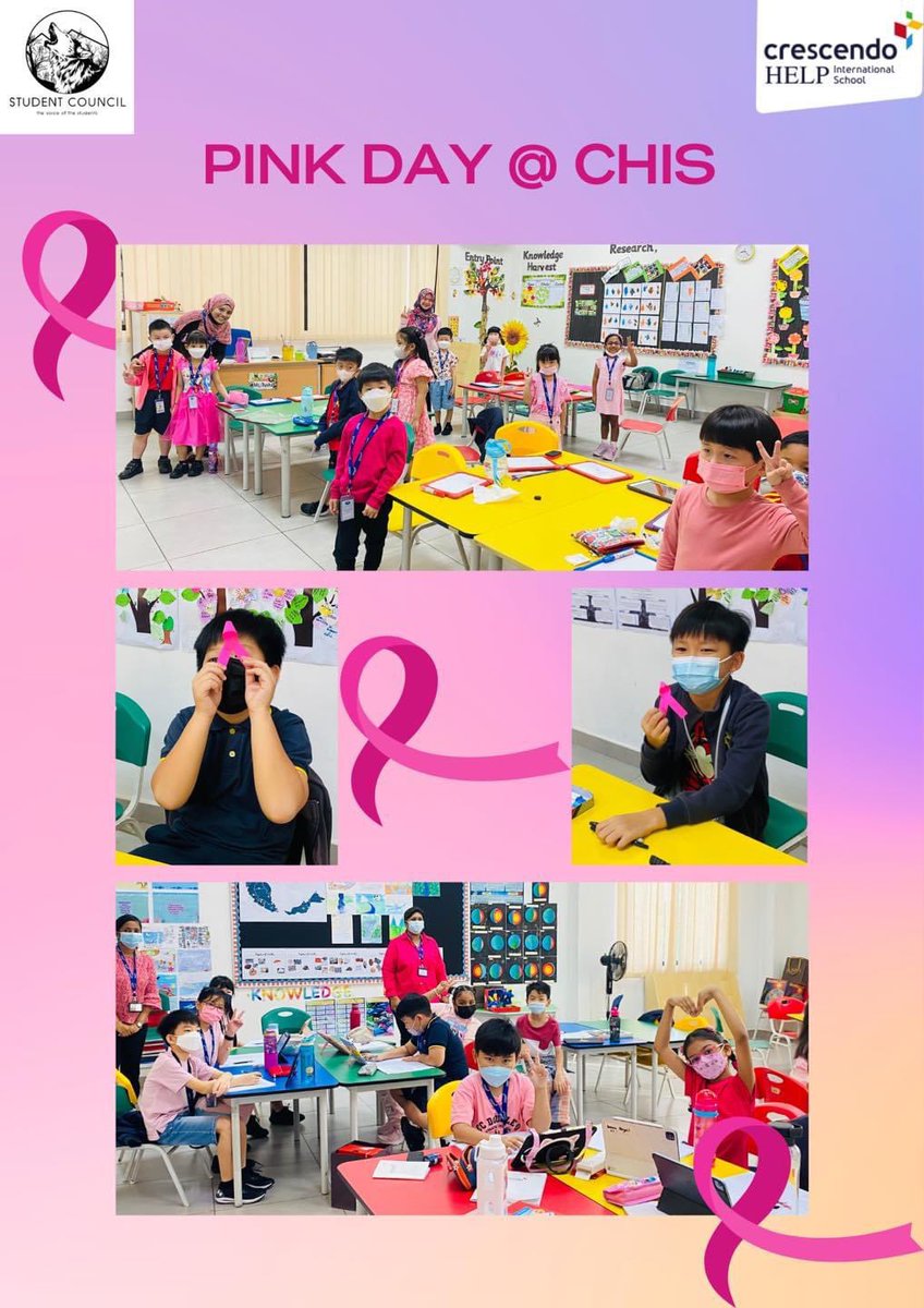 @CHISprimary tweet media