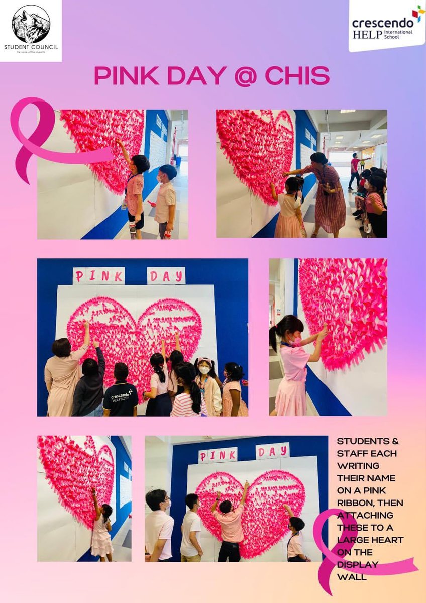 @CHISprimary tweet media