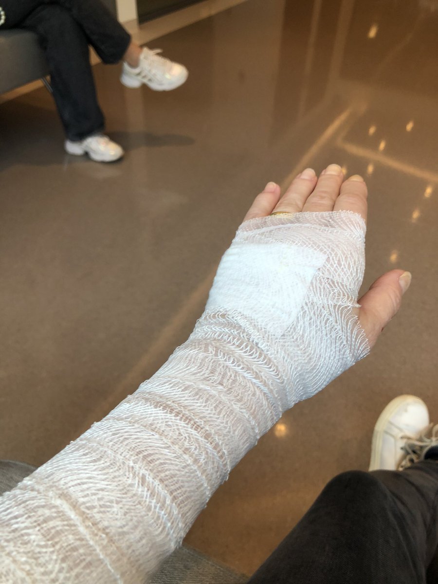 Köpeğim ısırdı …🐕