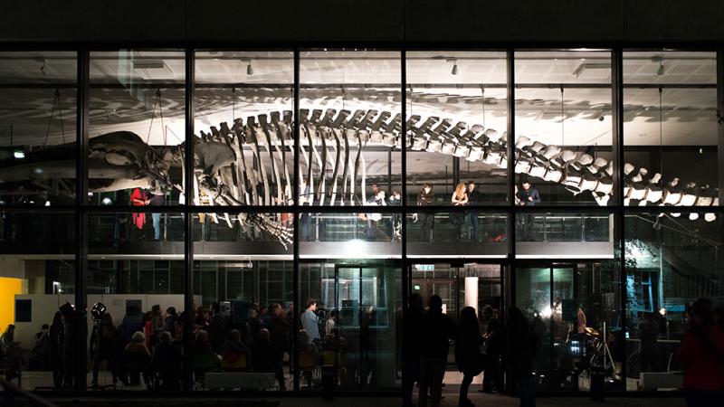 CamUnivMuseums's tweet photo. There's a great late coming up at @ZoologyMuseum. 

Learn ways of mending or refashioning clothes, get top tips on how to be greener in our clothing choices with mini-workshops, drop-in activities and more. 

Tell your best friends, and then everyone else: https://t.co/gCmGSPs4A4 https://t.co/bmOCZU0Tp9