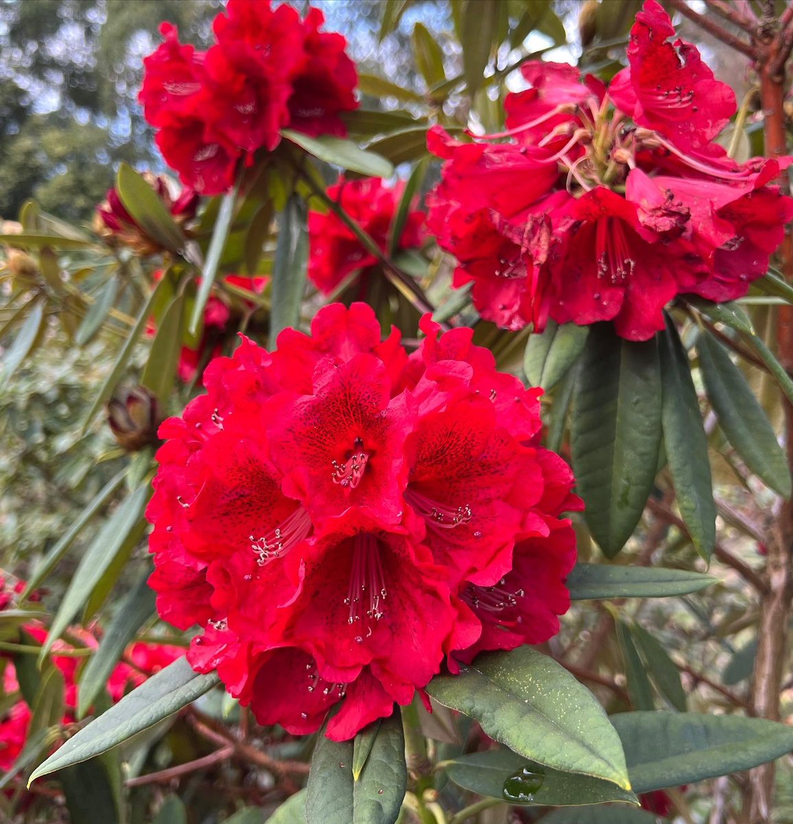 Cameron Tasker tweet media