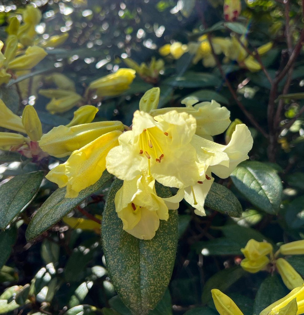 Cameron Tasker tweet media