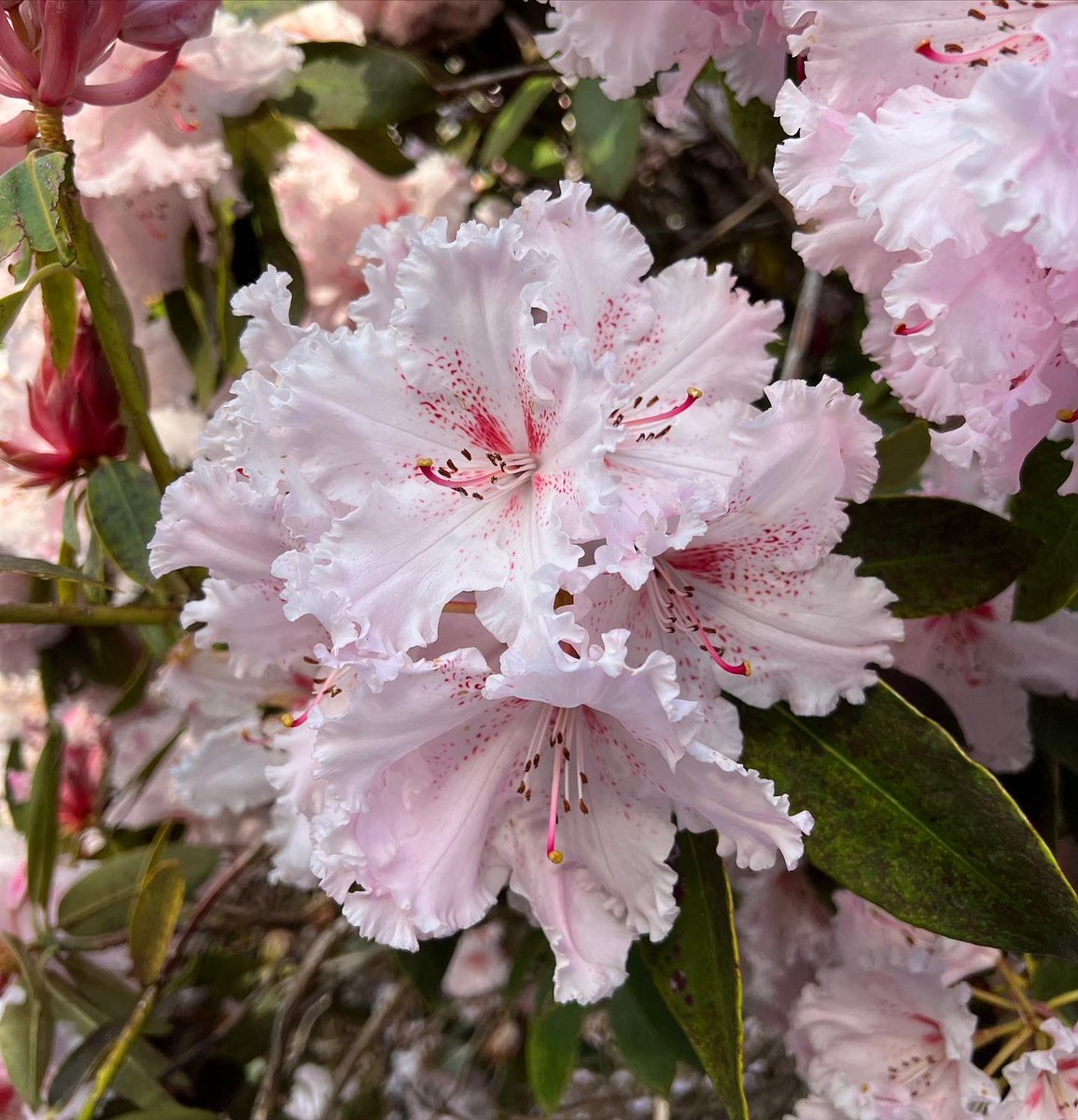 Cameron Tasker tweet media