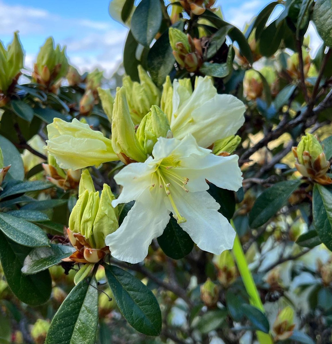 Cameron Tasker tweet media