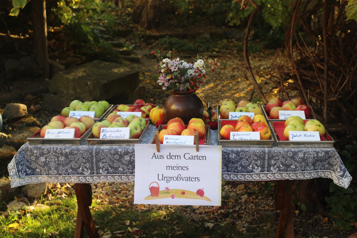 Aufgepasst!!! 🍎 Wir feiern am Sonntag, dem 09.10. das 16. Apfelfest! Wir laden euch und eure Familie am Sonntag zwischen 10.00 - 17.00 Uhr zum Familienfest in den Garten des NationalparkZentrums ein! 🍏#saechsischeschweiz #elbsandsteingebirge #sachsen