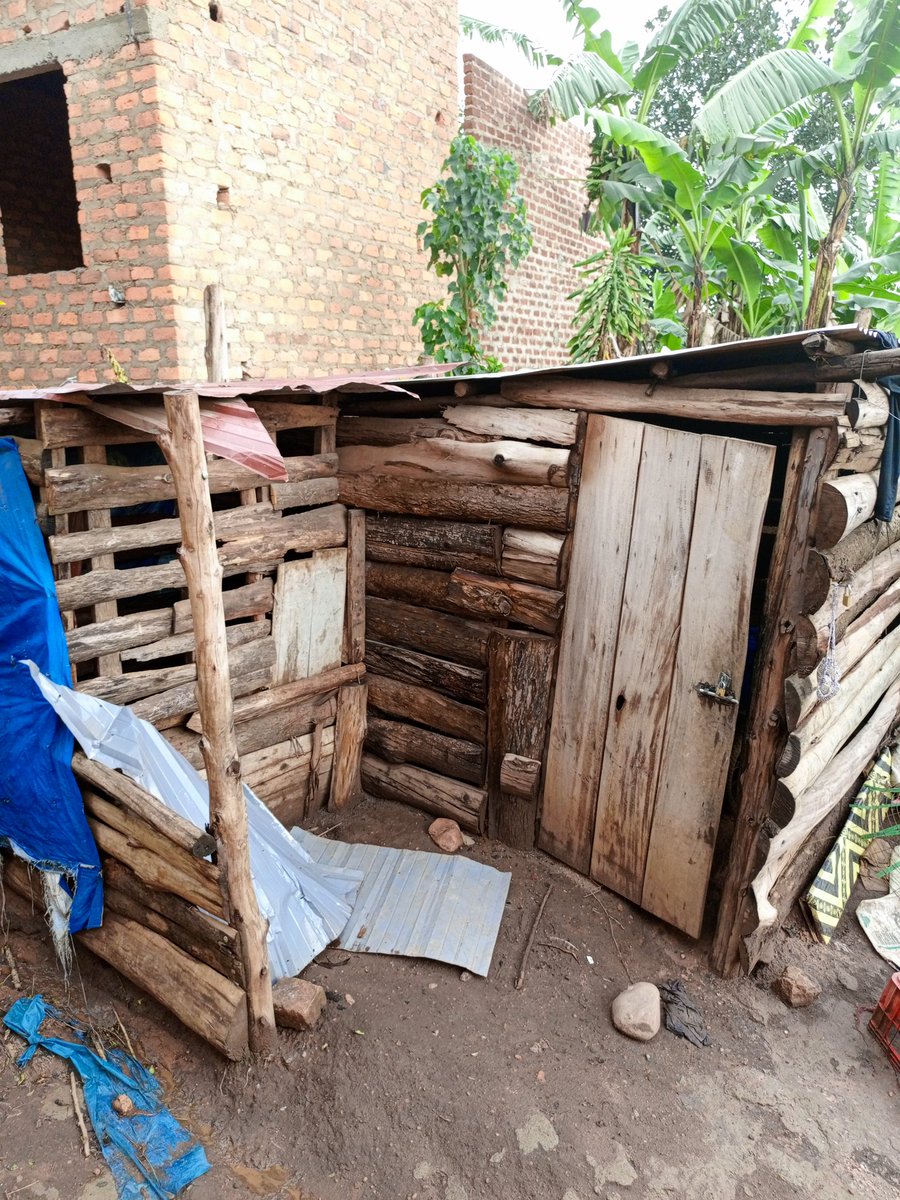 RanchoHome's tweet photo. ๐จ ๐๐๐๐๐๐๐จ
Our shelter roof has been leaking since August and now it's flow has also started to allow in water.
Dear friends we need your help to renovate the shelter or atleast build it with bricks
.Donate through link in profile
#doglove #dogsupport #help #donate #save https://t.co/cBXtN5Zq2b