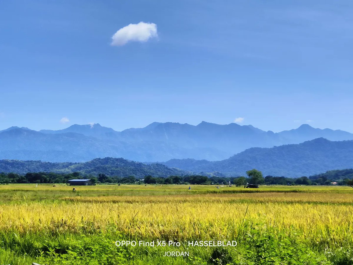 JordanMacadaeg's tweet photo. All things bright and beautiful⛰️🌿☀️

#ISeeOPPO #ShotonOPPO #OPPOStreetview #OllieTravels #OPPOSummer #OPPOReno8Series #ThePortraitExpert #ReinterpretYourMoments  #SmartandConnected #InspirationAhead 
#LowLightInspired #OPPOAmbassadors 
#OPPOSummer #EmpowerEveryMoment https://t.co/S5GsKBDqsI