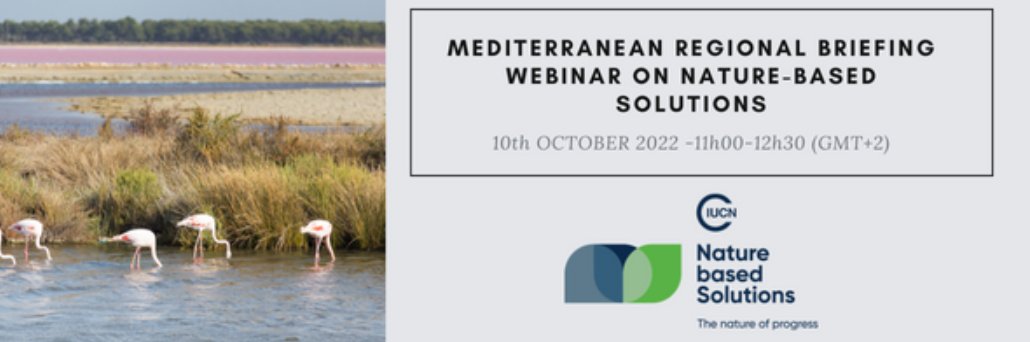 VBjedov's tweet photo. In the lead up to @UNFCCC #COP27 and @UNBiodiversity #COP15 join the @IUCN_Med briefing webinar on #NaturebasedSolutions 

🌿Monday, 10 September at 11:00am
Register 👉https://t.co/73wTi62Rut

#biodiversity #climate #naturepositive #sustainabledevelopment https://t.co/w7G9CNdXI6