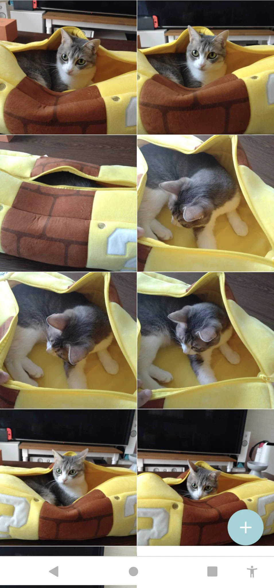 @kyuryuZ このレベルで似た写真を消せない私は重度だなと思う🤣 