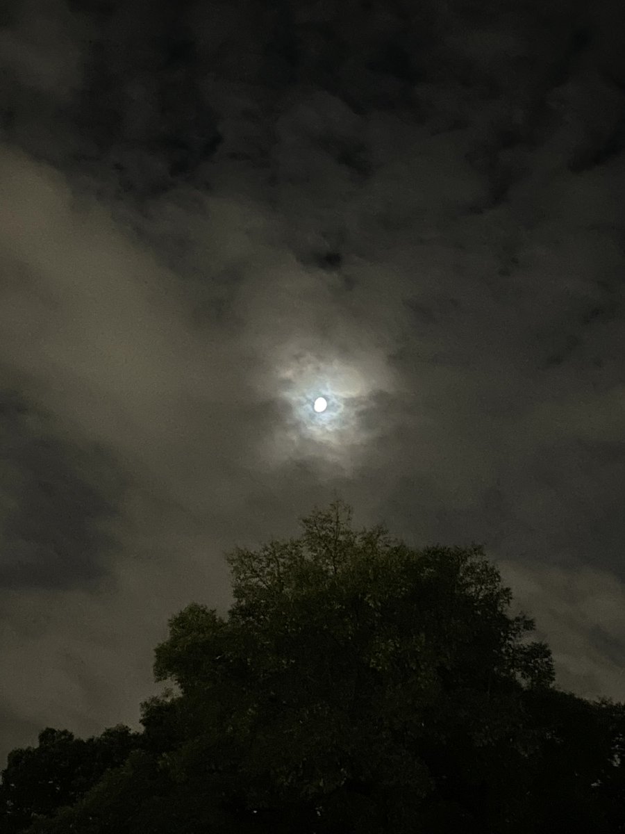 pechi_130's tweet photo. 🌙 https://t.co/VKpunbS4MU