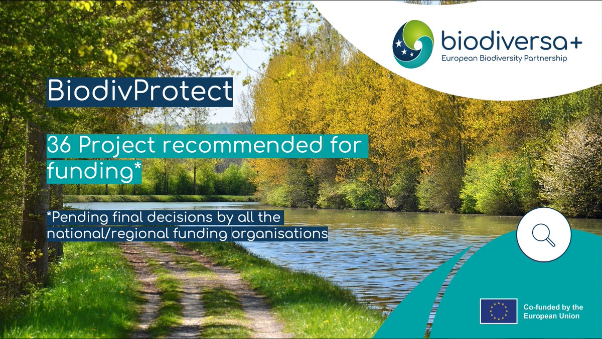 BiodiversaPlus's tweet photo. 🥳 36 Biodiversa+ research projects focusing on 

'Protection of Biodiversity across land and sea' #BiodivProtect 

have been shortlisted &amp; recommended for funding, pending final decisions by all the funding organisations.

Discover them on NOW👉https://t.co/xGqa8V7flb https://t.co/jY28VDRIeX
