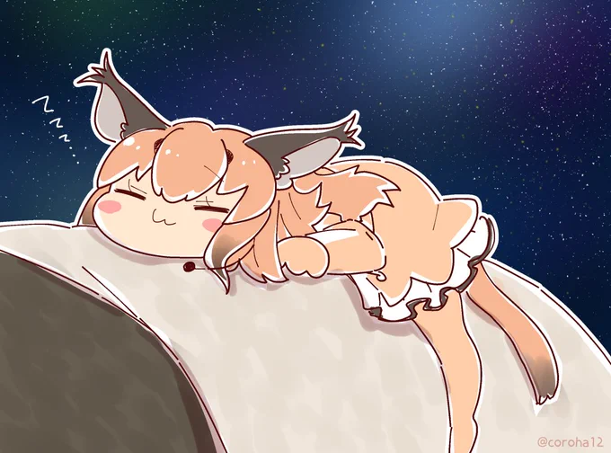 ソファで寝落ちしてて、ふと起きたら背もたれの上でからかるが溶けてて、かわいすぎて、え、宇宙? 