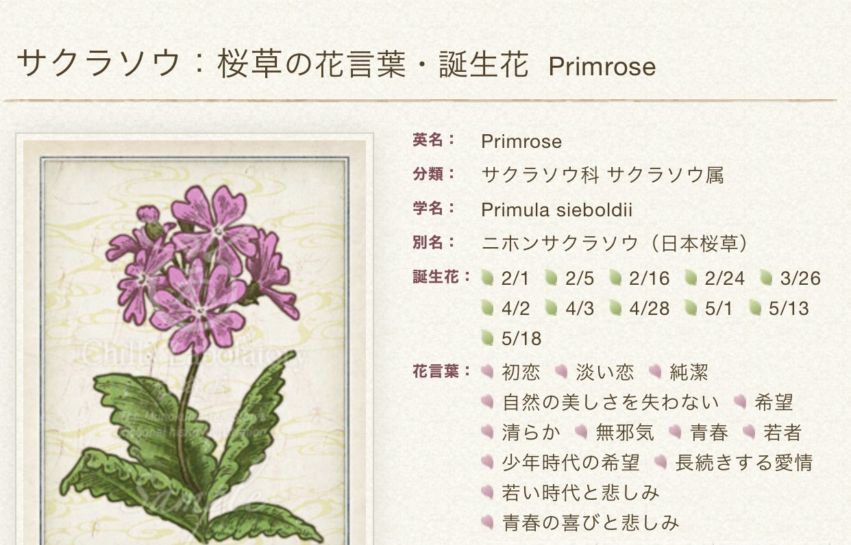 いっち 話題になってたから調べたら サクラソウの花言葉 しかも2月16日の誕生花なのね T Co Vdxtu0ls6x Twitter
