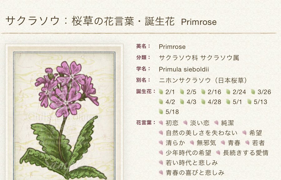Silent サクラソウは目黒蓮の誕生日と青羽紬の誕生日の誕生花 花言葉は こそだてあんど