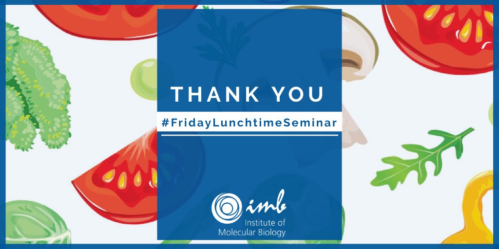 imbmainz's tweet photo. Our @IPPMainz students are currently busy at this year's #IPPSymposium but we want to give a quick shoutout to our #FridayLunchtimeSeminar speakers from September:
▪️ Sara Vieira-Silva, Group Leader @UnimedizinMainz & Adjunct Group Leader at IMB
https://t.co/IV9JeEr6oE https://t.co/FaV4kRp84v