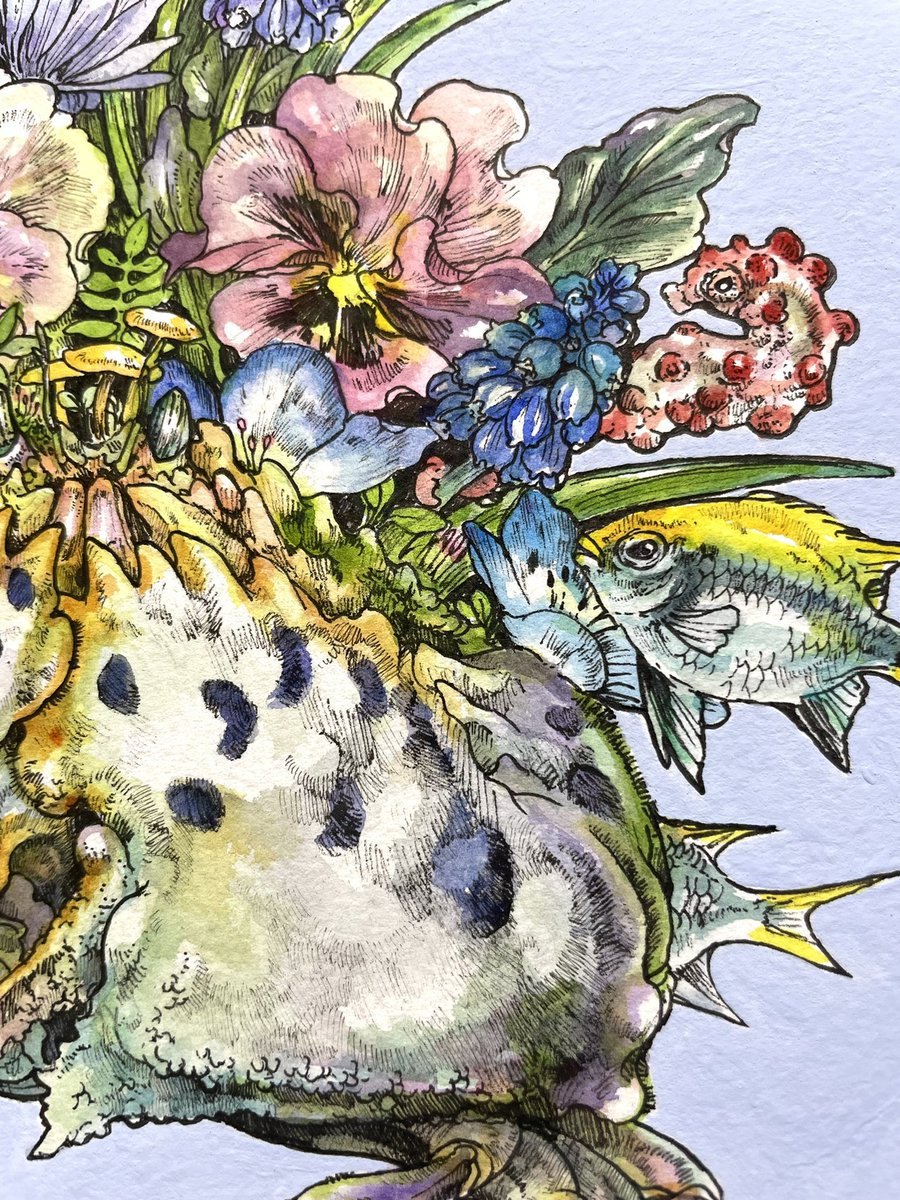 「カラッパをプランターに見立てて、寄植えしてます。カニ歩きについて行けない奴らもち」|Keso Artのイラスト