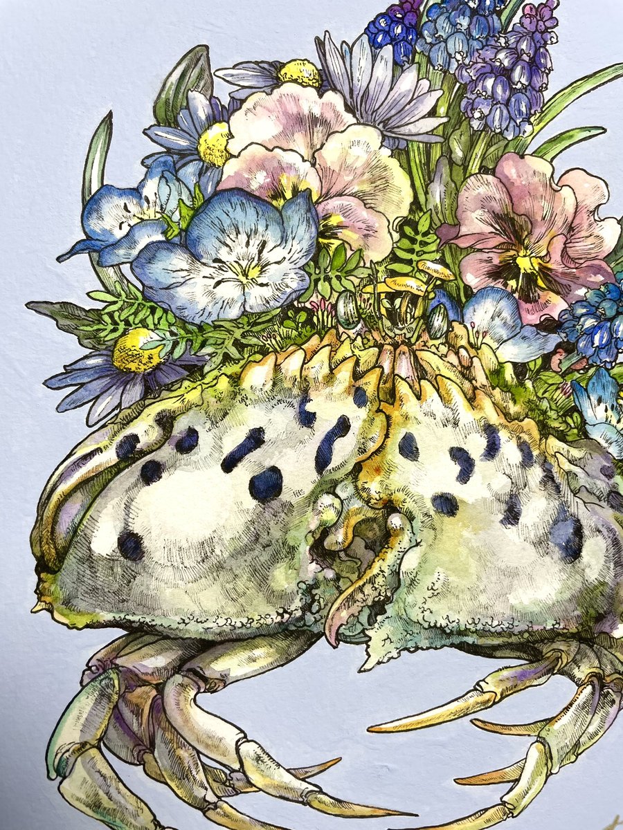 「カラッパをプランターに見立てて、寄植えしてます。カニ歩きについて行けない奴らもち」|Keso Artのイラスト