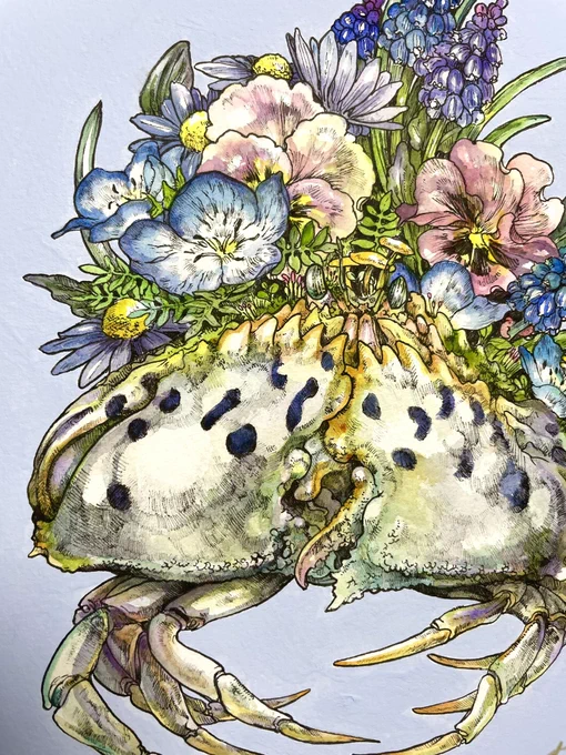 カラッパをプランターに見立てて、寄植えしてます。カニ歩きについて行けない奴らもちょこちょこ。 