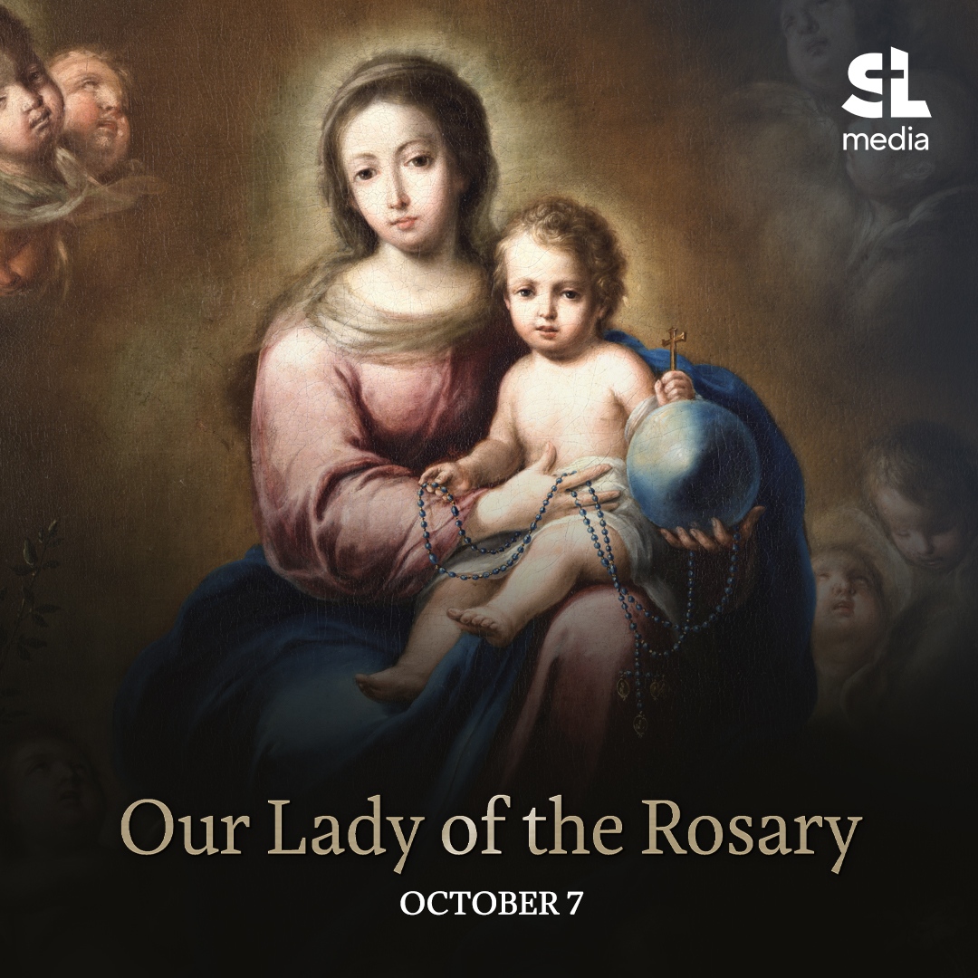 Salt + Light Media on Twitter: "Our Lady of the Rosay, pray for us 💙🙏⁠ ⁠ #saltandlight #