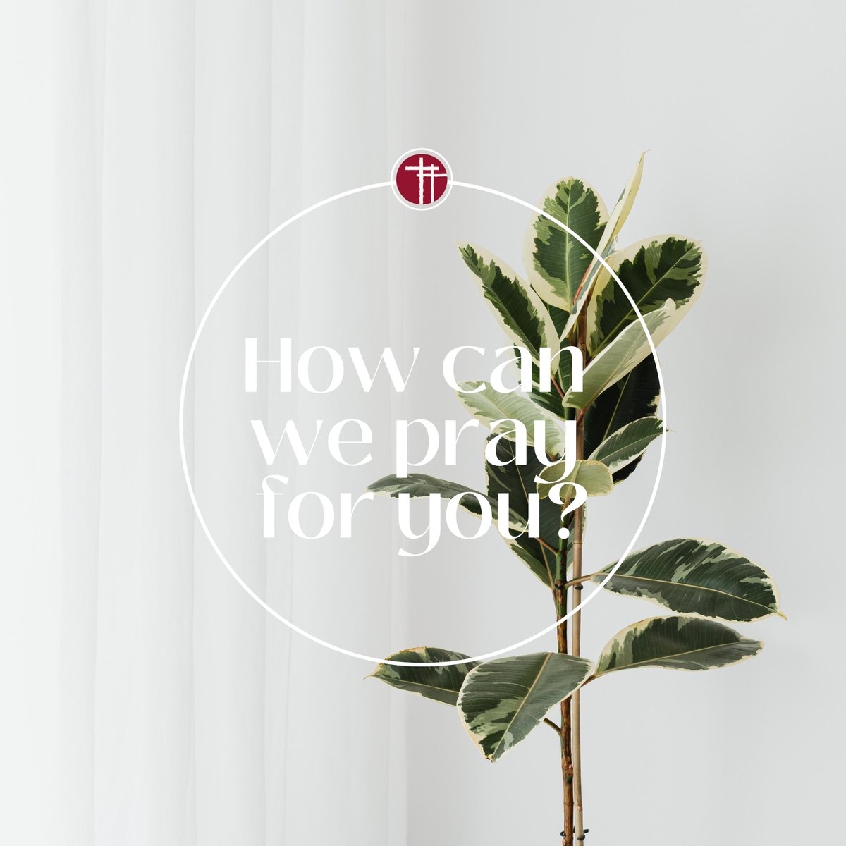 gracelifeshoals's tweet image. There is power when we pray together. No matter what you or a loved one might be facing, God cares about it. Click attached link and let us know how we can be praying for you! 

bit.ly/3RrFrdr