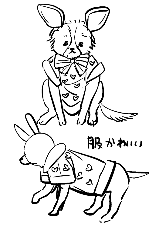 9話に登場するまめちゃんは友達のおうちのわんちゃんをモデルにアシスタントさんが描いてくれました~✨✨めっちゃかわいい!実物のまめちゃんもまじかわいい。「藍ちゃんに抱っこさせたって!」と了承してくれた友達と作画してくれたアシスタントさんありがと~~~🙏