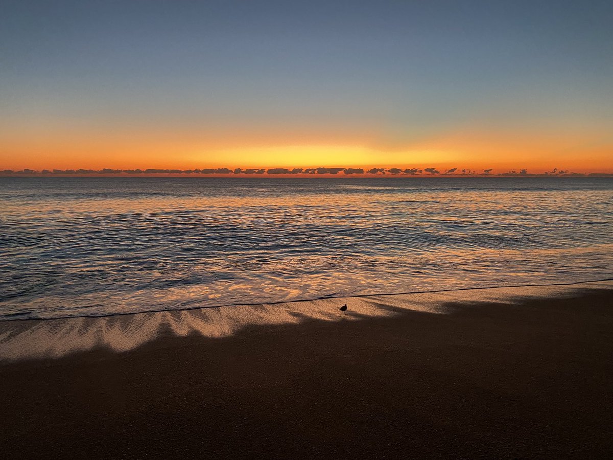 FlaglerSurf1's tweet photo. Celebrate the small victories... they add up~ 
.
.
#sunrise #flaglerbeach #bluewave #mindset #gratitude #dailythoughts #oceanmoments #flaglersurf #flowlove #haveagreatday https://t.co/ApfpxnH5rb